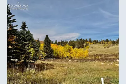 340 Forest Lane, Lake George, CO 80827 - Photo 41
