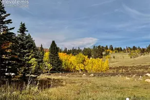 340 Forest Ln, Lake George, CO 80827 - Photo 41