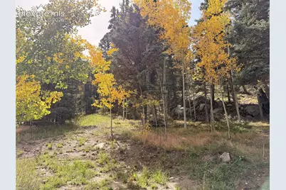340 Forest Lane, Lake George, CO 80827 - Photo 39