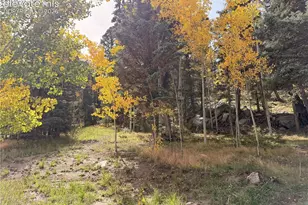 340 Forest Ln, Lake George, CO 80827 - Photo 39