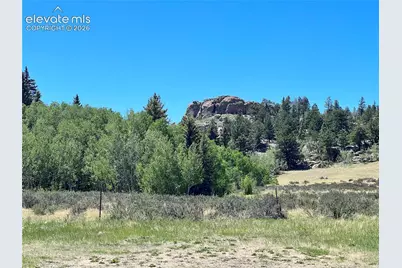 340 Forest Lane, Lake George, CO 80827 - Photo 37
