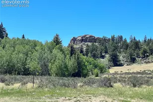 340 Forest Ln, Lake George, CO 80827 - Photo 37
