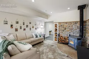 403 Pioneer Creek Dr, Florissant, CO 80816 - Photo 11