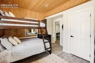 403 Pioneer Creek Dr, Florissant, CO 80816 - Photo 41