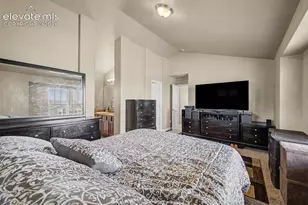 6678 Cottonwood Tree Dr, Colorado Springs, CO 80927 - Photo 19