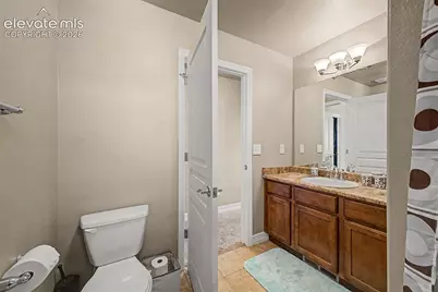 6678 Cottonwood Tree Drive, Colorado Springs, CO 80927 - Photo 29