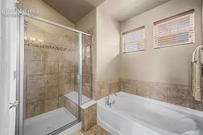 6678 Cottonwood Tree Drive, Colorado Springs, CO 80927 - Photo 21