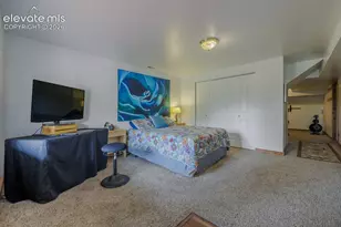 124 Bear Trail, Florissant, CO 80816 - Photo 37