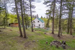 124 Bear Trail, Florissant, CO 80816 - Photo 49