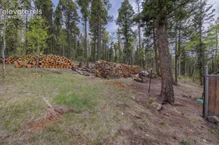 124 Bear Trail, Florissant, CO 80816 - Photo 41