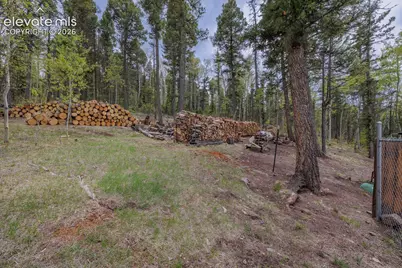 124 Bear Trail, Florissant, CO 80816 - Photo 39
