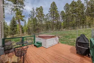 124 Bear Trail, Florissant, CO 80816 - Photo 39