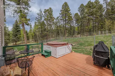 124 Bear Trail, Florissant, CO 80816 - Photo 37