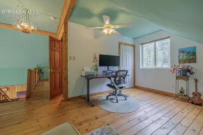 124 Bear Trail, Florissant, CO 80816 - Photo 27