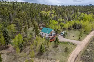 124 Bear Trail, Florissant, CO 80816 - Photo 45
