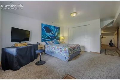 124 Bear Trail, Florissant, CO 80816 - Photo 35