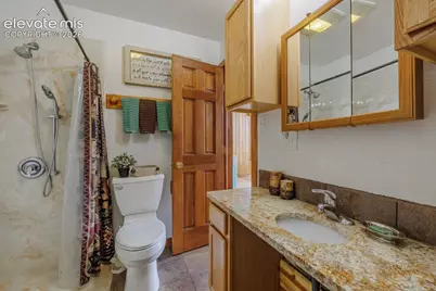 124 Bear Trail, Florissant, CO 80816 - Photo 25