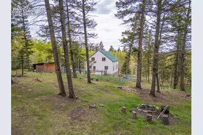124 Bear Trail, Florissant, CO 80816 - Photo 47