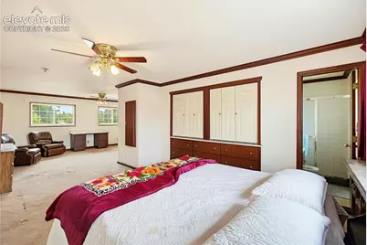 3 N Ely Street, Colorado Springs, CO 80911 - Photo 9
