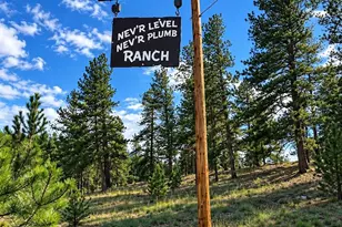 Tbd Trail Creek Rd, Florissant, CO 80816 - Photo 1