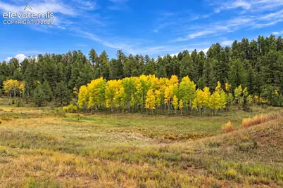 Tbd Trail Creek Road, Florissant, CO 80816 - Photo 3