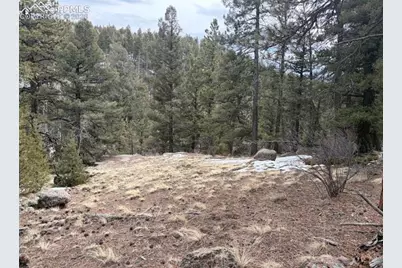 84 Point View Circle, Florissant, CO 80816 - Photo 9