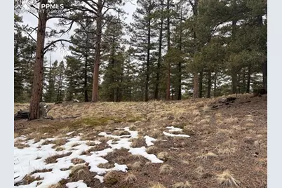 84 Point View Circle, Florissant, CO 80816 - Photo 7