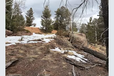 84 Point View Circle, Florissant, CO 80816 - Photo 3