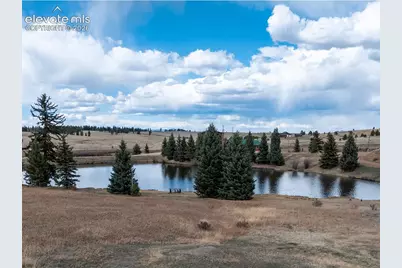 19 Worley Road, Divide, CO 80814 - Photo 29
