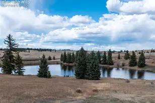 19 Worley Rd, Divide, CO 80814 - Photo 29
