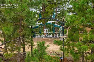 271 Co Rd 512, Divide, CO 80814 - Photo 9