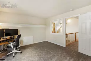 43 Spring Valley Dr, Florissant, CO 80816 - Photo 35