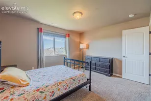 7247 Cat Tail Creek Dr, Colorado Springs, CO 80923 - Photo 37