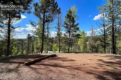 83 Pika Creek Trail, Florissant, CO 80816 - Photo 27