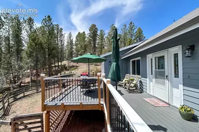 83 Pika Creek Trail, Florissant, CO 80816 - Photo 3