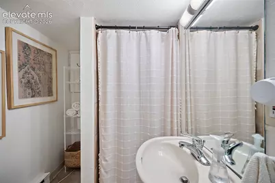 117 Pinon Lane, Manitou Springs, CO 80829 - Photo 17