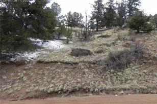 153 Idlewild Dr, Cripple Creek, CO 80813 - Photo 1