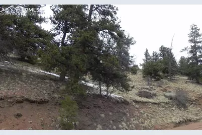153 Idlewild Drive, Cripple Creek, CO 80813 - Photo 3