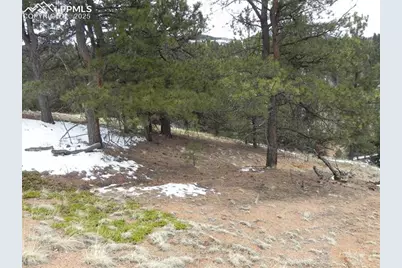 153 Idlewild Drive, Cripple Creek, CO 80813 - Photo 9
