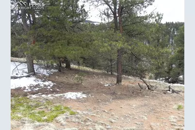 153 Idlewild Drive, Cripple Creek, CO 80813 - Photo 11