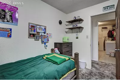 9420 Mulberry Road, Calhan, CO 80808 - Photo 19