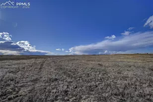 9420 Mulberry Rd, Calhan, CO 80808 - Photo 37
