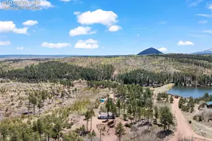 100 Wolverine Dr, Florissant, CO 80816 - Photo 9