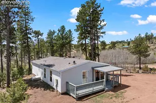 100 Wolverine Dr, Florissant, CO 80816 - Photo 45