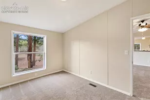 100 Wolverine Dr, Florissant, CO 80816 - Photo 35