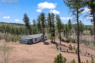 100 Wolverine Dr, Florissant, CO 80816 - Photo 47
