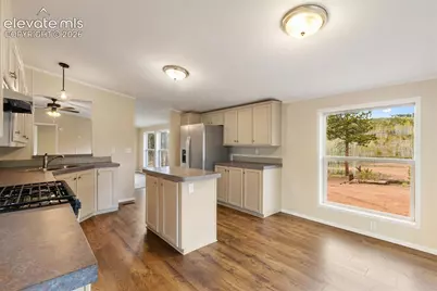 100 Wolverine Drive, Florissant, CO 80816 - Photo 19