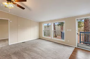 100 Wolverine Dr, Florissant, CO 80816 - Photo 13