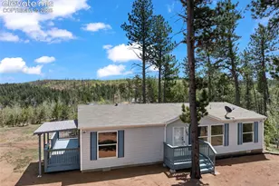 100 Wolverine Dr, Florissant, CO 80816 - Photo 3