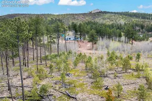 100 Wolverine Dr, Florissant, CO 80816 - Photo 11